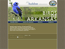 Tablet Screenshot of birdsofarkansas.org
